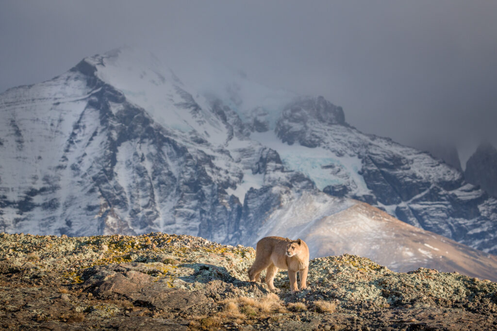 Werbebild Explora Patagonien im Auditorium im gate27 in Winterthur