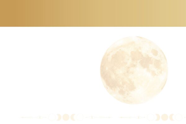 Werbebild _ Workshop - Gelebte Achtsamkeit